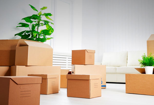 Packing and moving services for household relocation